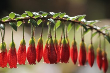 惠州惠东9私人快速借钱网，轻松解决资金难题