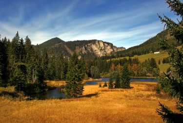 惠州惠东9民间私贷攻略：揭秘低成本借贷的秘密