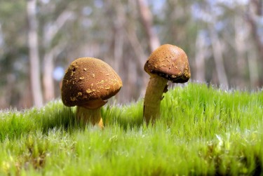 惠州惠东9私人老板放款：轻松融资的秘密通道